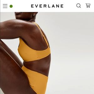 Everlane High Rise Hipster Bottom